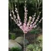 BAUHAUS Mandelbaum Stämmchen Prunus Triloba -Gartenpflanzen Verkäufe 12 303
