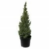BAUHAUS Zuckerhut-Fichte Picea Glauca 'Sander's Blue', Aktuelle Wuchshöhe: 20 Cm - 30 Cm 1 BAUHAUS Zuckerhut-Fichte Picea Glauca 'Sander's Blue', Aktuelle Wuchshöhe: 20 Cm - 30 Cm -Gartenpflanzen Verkäufe 12 81