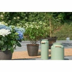 BAUHAUS Piardino Hortensie Hydrangea Paniculata, Artenabhängig -Gartenpflanzen Verkäufe 12 997